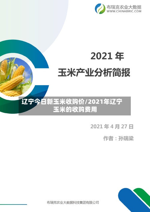 辽宁今日新玉米收购价/2021年辽宁玉米的收购费用