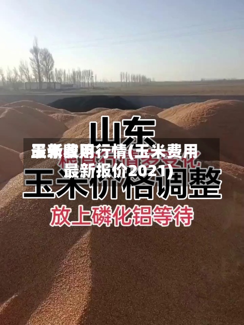 玉米费用
最新收购行情(玉米费用
最新报价2021)-第2张图片