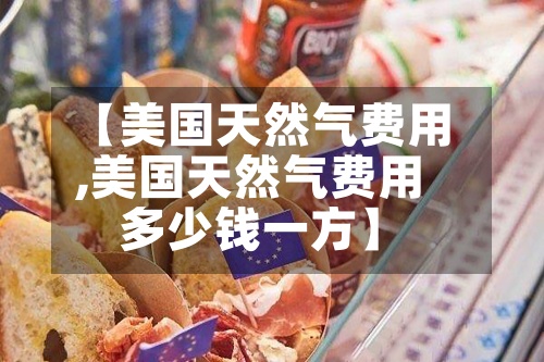 【美国天然气费用
,美国天然气费用
多少钱一方】-第2张图片