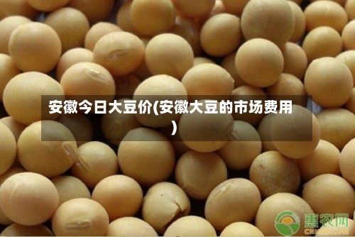 安徽今日大豆价(安徽大豆的市场费用)