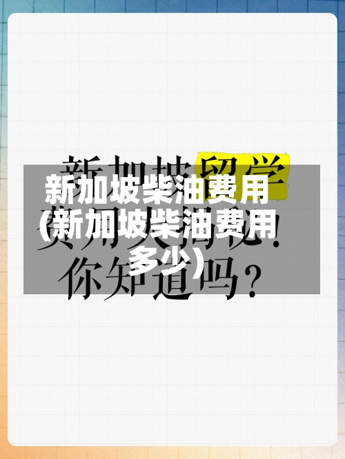 新加坡柴油费用(新加坡柴油费用多少)