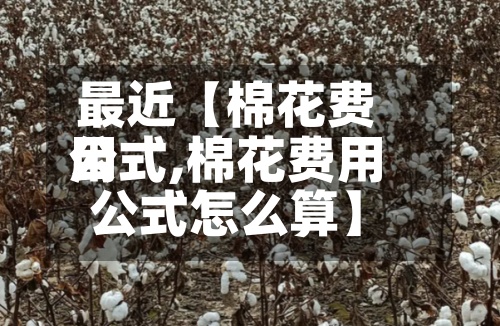 最近【棉花费用公式,棉花费用公式怎么算】-第2张图片