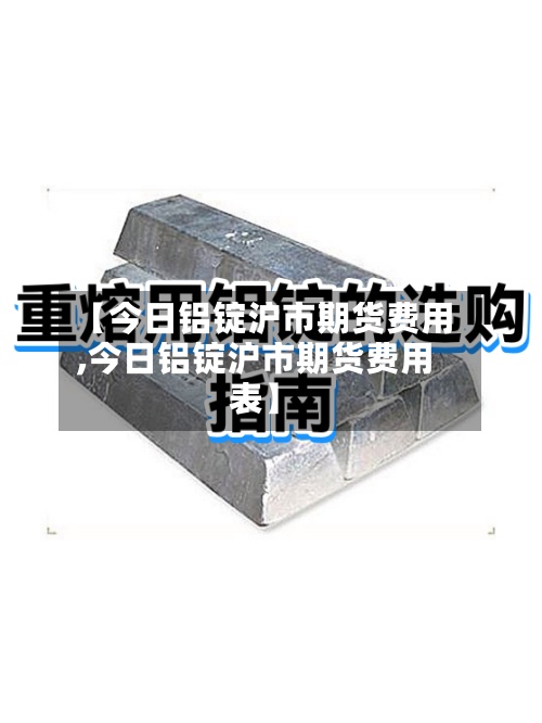 【今日铝锭沪市期货费用
,今日铝锭沪市期货费用
表】-第2张图片