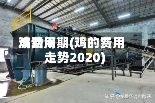 鸡费用波动周期(鸡的费用走势2020)-第2张图片