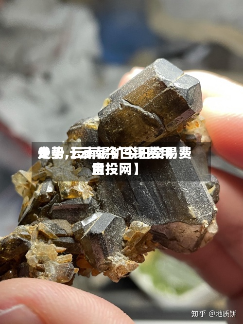 关于【云南今日锡费用走势,云南锡矿今日交易费用金投网】