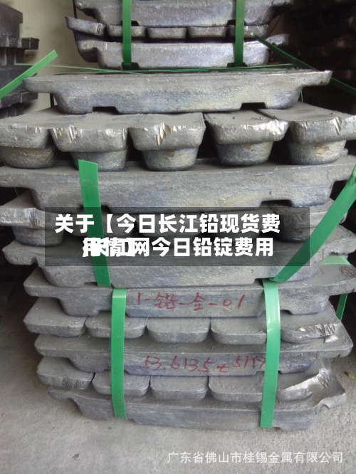 关于【今日长江铅现货费用
,长江网今日铅锭费用
行情】-第2张图片