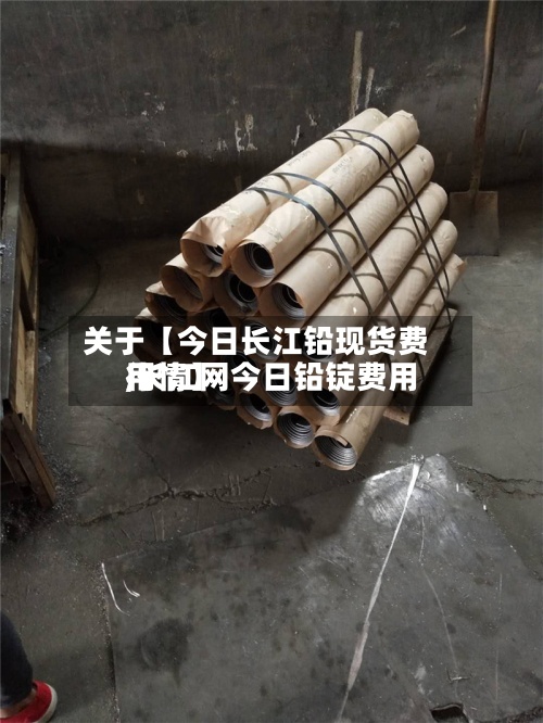 关于【今日长江铅现货费用
,长江网今日铅锭费用
行情】-第3张图片