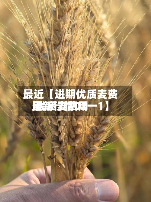 最近【进期优质麦费用,优质麦费用最新行情02一1】