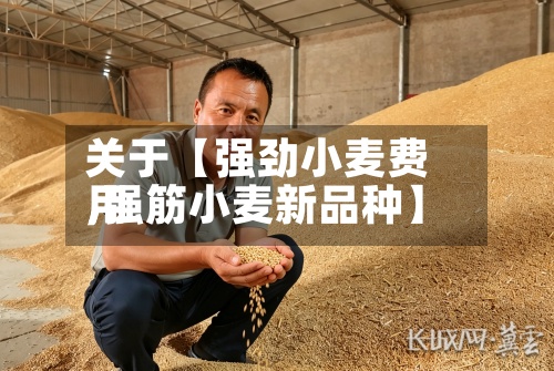 关于【强劲小麦费用,强筋小麦新品种】