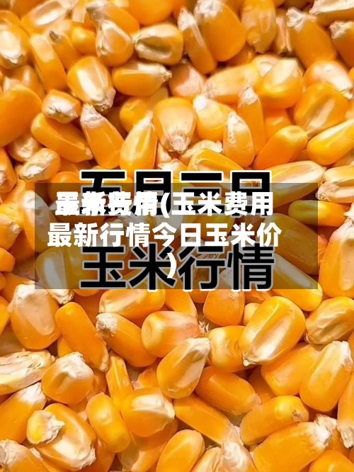 玉米费用
最新行情(玉米费用
最新行情今日玉米价)-第2张图片