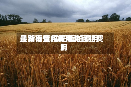 【湖南豆粕费用最新行情,今日豆粕费用最新行情今天湖北豆粕费用】-第3张图片