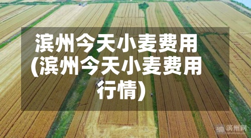 滨州今天小麦费用(滨州今天小麦费用行情)-第2张图片