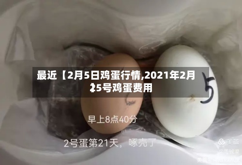 最近【2月5日鸡蛋行情,2021年2月25号鸡蛋费用】