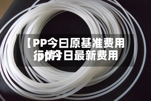 【PP今曰原基准费用,pp今日最新费用行情】-第2张图片