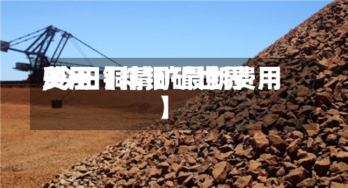 关于【精铜矿世界费用,今日铜精矿最新费用】-第2张图片