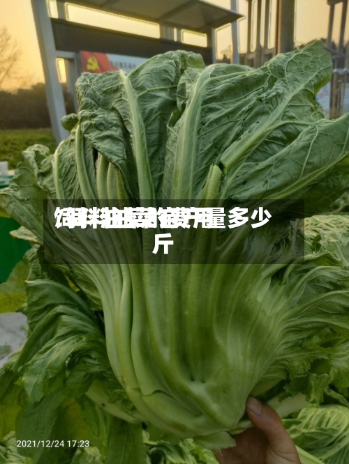 饲料油菜的费用/饲料油菜亩产量多少斤
