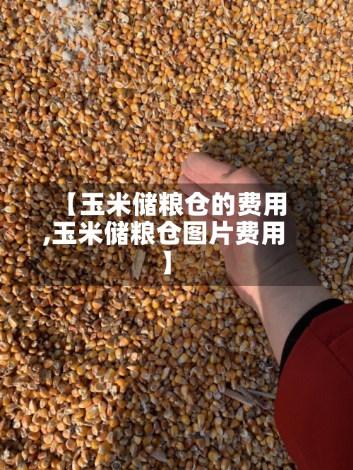 【玉米储粮仓的费用,玉米储粮仓图片费用】-第2张图片
