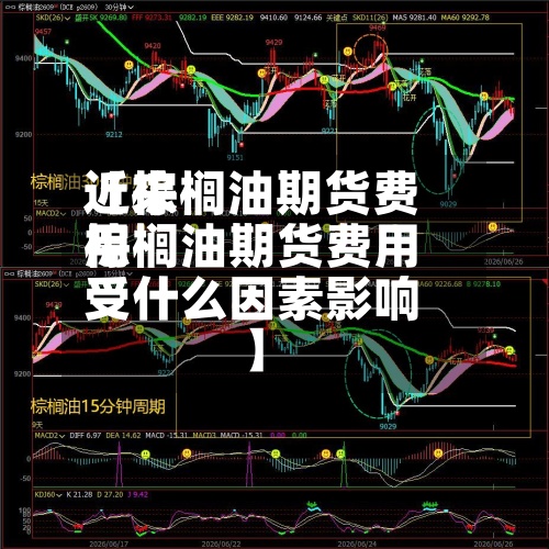 近来
【棕榈油期货费用
棕榈油期货费用
受什么因素影响】-第2张图片