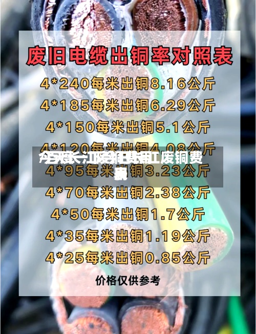 今天长江废铜费用
/百度一下今日长江废铜费用
表-第2张图片