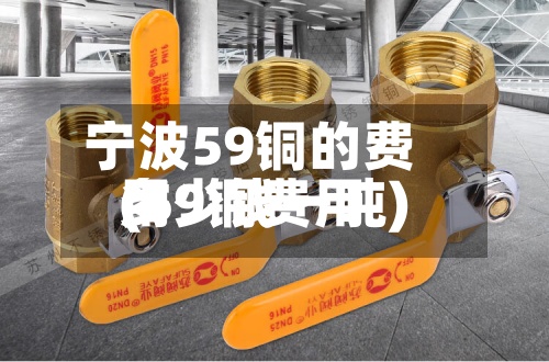 宁波59铜的费用
(59铜费用
多少钱一吨)-第2张图片