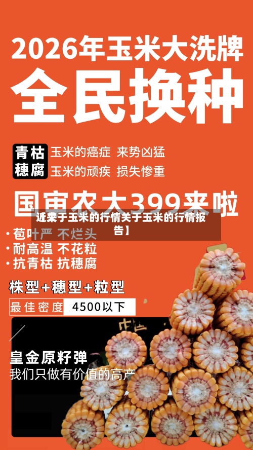 近来
【关于玉米的行情关于玉米的行情报告】-第3张图片