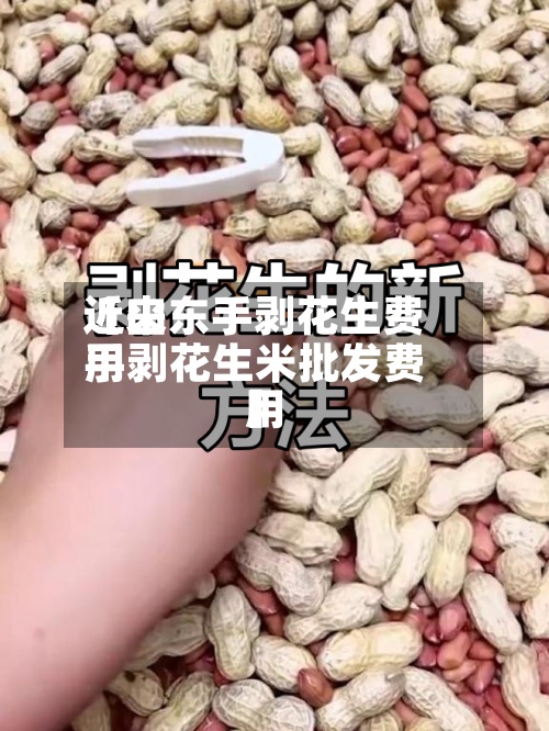 近来【山东手剥花生费用手剥花生米批发费用】