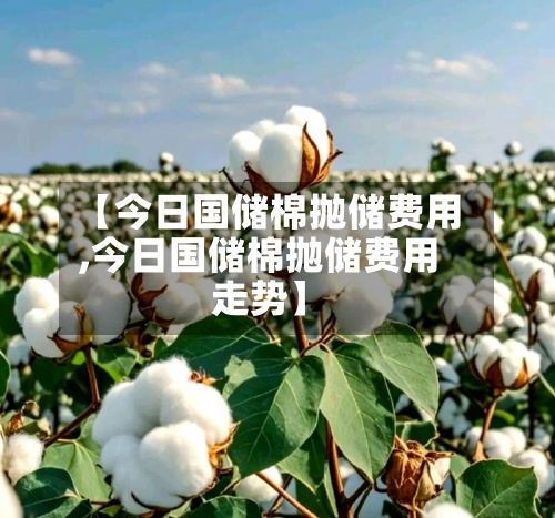 【今日国储棉抛储费用,今日国储棉抛储费用走势】