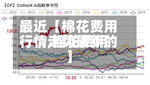 最近【棉花费用行情,棉花费用行情走势最新的】-第3张图片