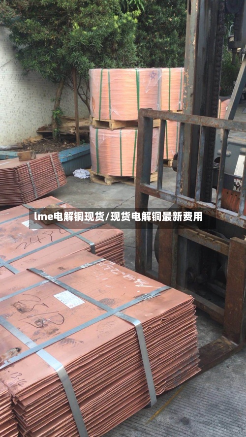 lme电解铜现货/现货电解铜最新费用-第3张图片