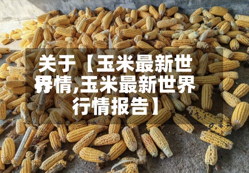 关于【玉米最新世界行情,玉米最新世界行情报告】-第2张图片