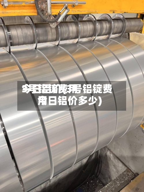 3号铝锭费用今日铝价(3号铝锭费用今日铝价多少)