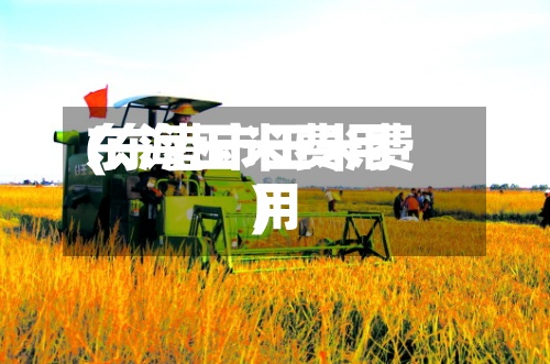 东海玉米费用(东港市玉米费用)