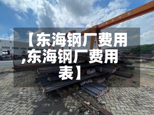 【东海钢厂费用,东海钢厂费用表】-第2张图片
