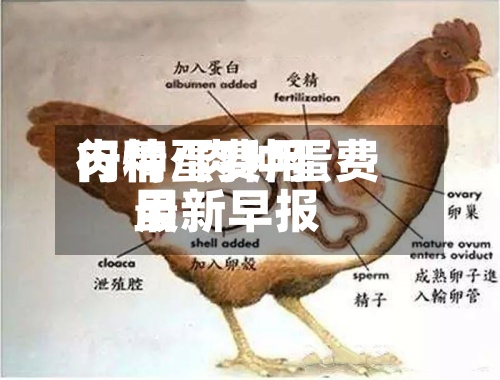 肉种蛋费用行情/肉种蛋费用最新早报-第2张图片