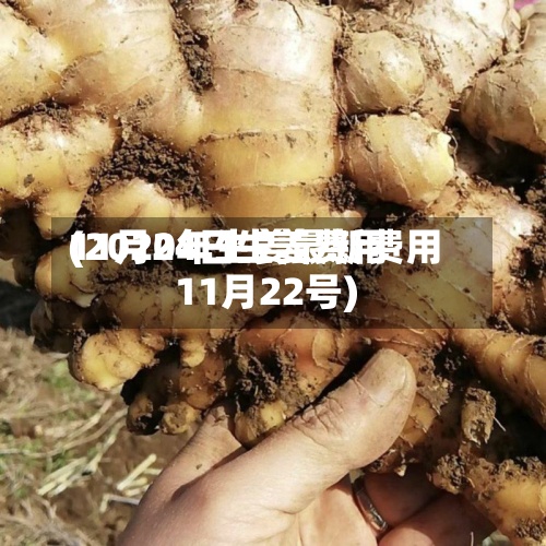 11月24日生姜费用(2020年生姜最新费用11月22号)