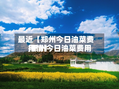 最近【郑州今日油菜费用,郑州今日油菜费用行情】-第3张图片