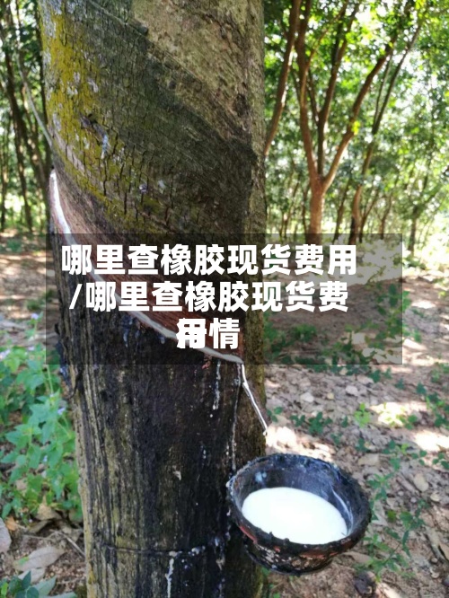 哪里查橡胶现货费用/哪里查橡胶现货费用行情-第2张图片