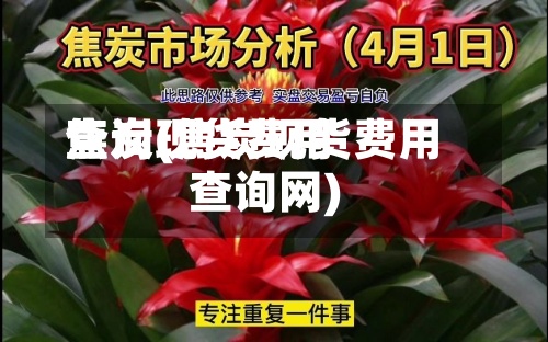 焦炭现货费用查询(焦炭现货费用查询网)-第2张图片