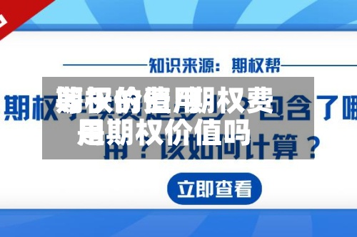 期权的费用等于价值/期权费用是期权价值吗