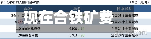 现在合铁矿费用(今年铁矿费用一吨多少钱)