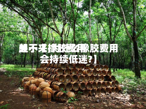 关于【橡胶费用起不来,为什么橡胶费用会持续低迷?】