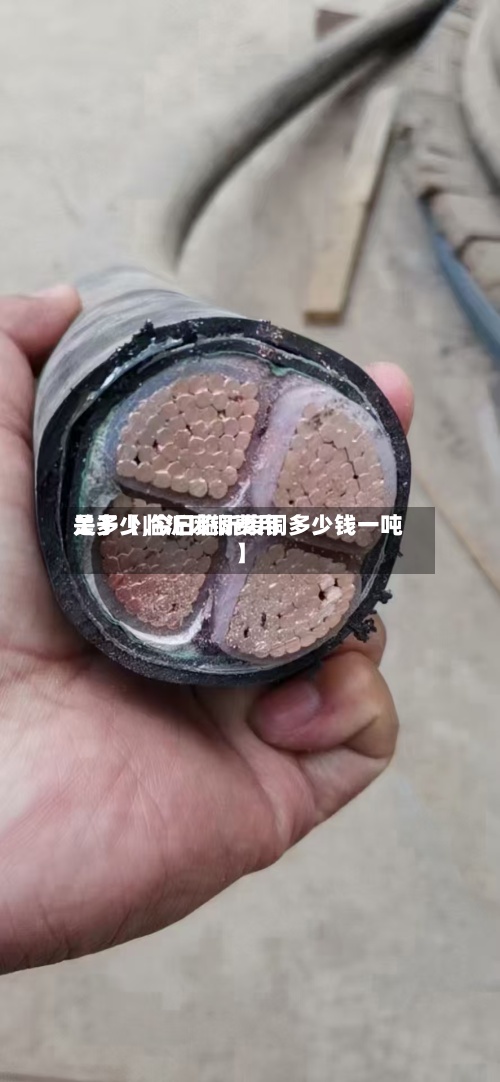 关于【临沂废铜费用是多少,今日临沂废铜多少钱一吨】-第3张图片