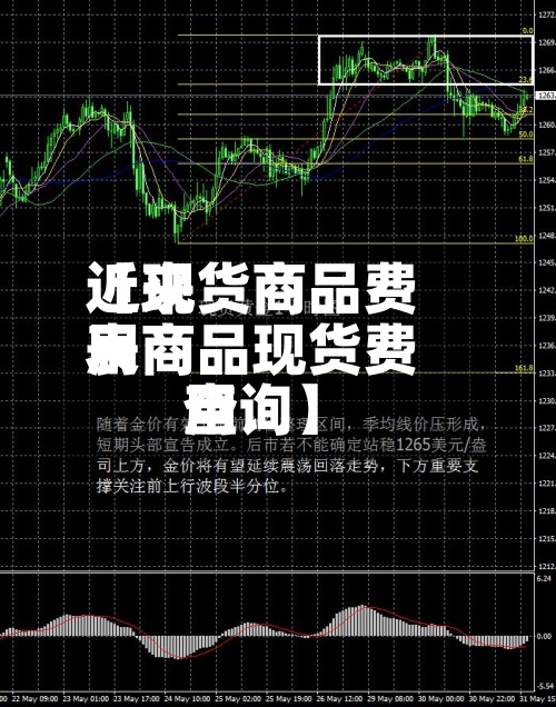 近来【现货商品费用表商品现货费用查询】