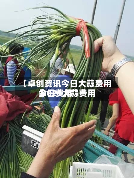 【卓创资讯今日大蒜费用,2021大蒜费用今日费用】