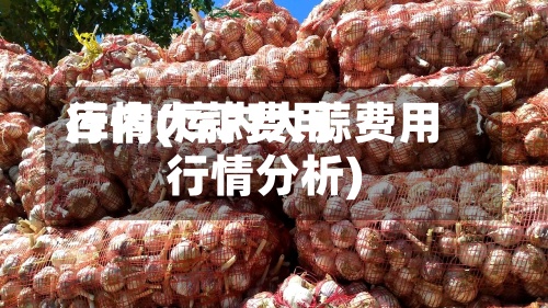 库内大蒜费用行情(库内大蒜费用行情分析)-第2张图片