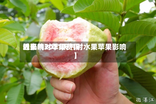 近来【天气对苹果费用的影响2021天气对水果苹果影响】-第2张图片