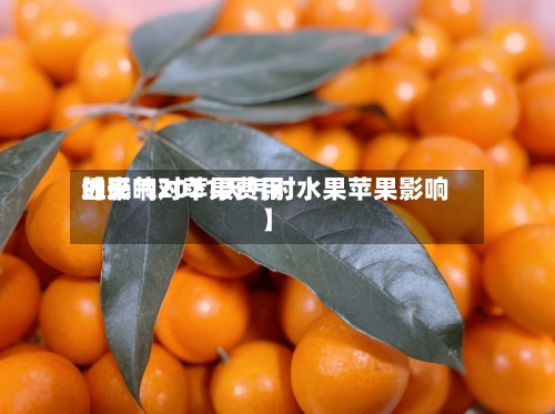 近来【天气对苹果费用的影响2021天气对水果苹果影响】