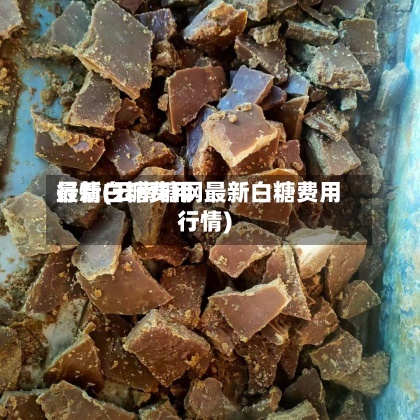 最新白糖费用行情(云南糖网最新白糖费用行情)