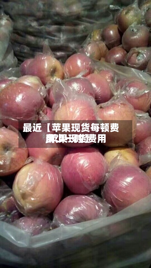 最近【苹果现货每顿费用,苹果现货费用多少一吨】-第2张图片