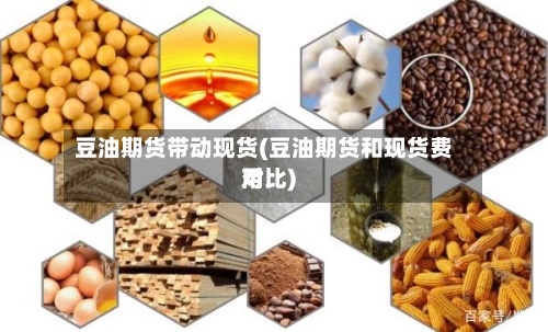 豆油期货带动现货(豆油期货和现货费用对比)
